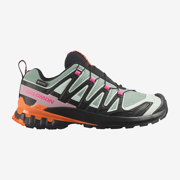 XA PRO 3D V9 GORE-TEX ICON