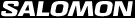 Footer logo